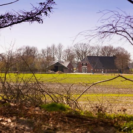 Bed And Breakfast Geertruidahoeve Hellendoorn Zewnętrze zdjęcie