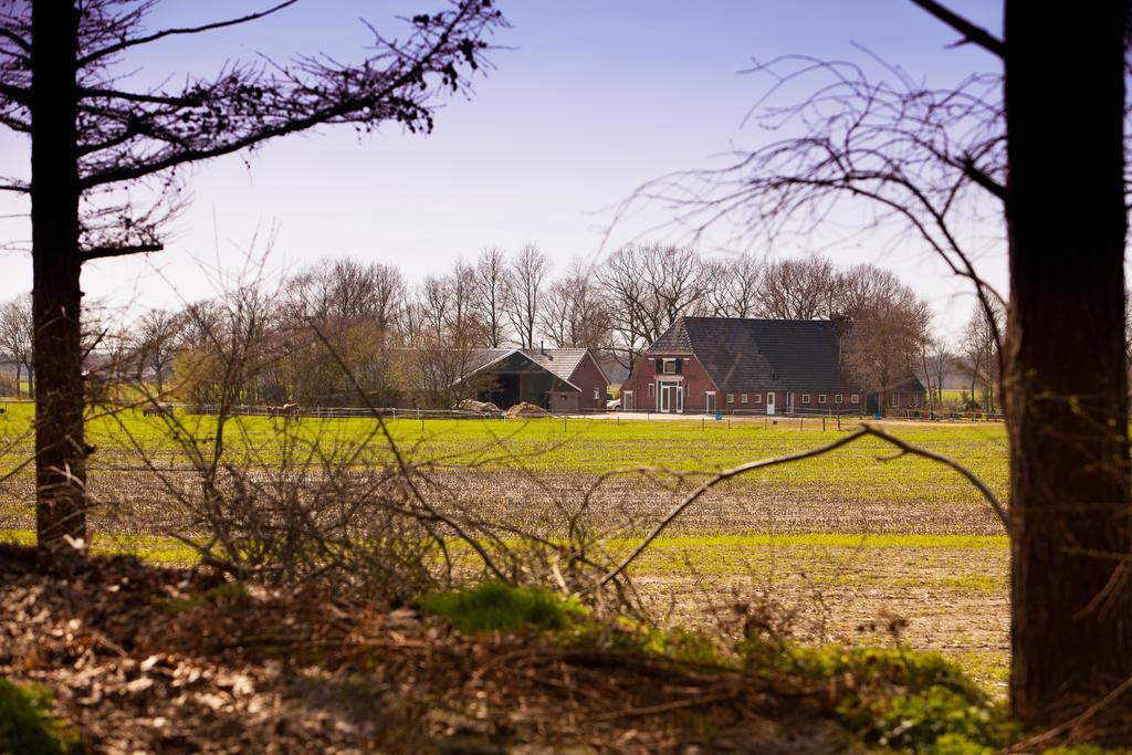 Bed And Breakfast Geertruidahoeve Hellendoorn Zewnętrze zdjęcie